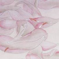 手机号码里几个天医好 五行最强旺运的号码组合