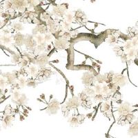 2023年兔年对属鸡的生肖有影响吗 易有感情危机应多留心