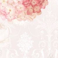 二手车店名字有创意的 时尚高端店铺名字