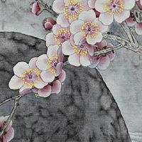 5在数字能量学象征什么 最新版本旺财转运的手机号