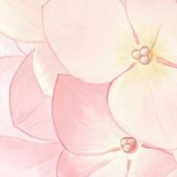 二手车名字大全大气招财 高级好听汽车店名字