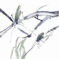 坐北朝南的房子厕所和厨房的位置 厨卫相邻为大凶之象