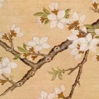 化解门对窗的葫芦挂在哪里好 葫芦最忌讳对着厕所摆放