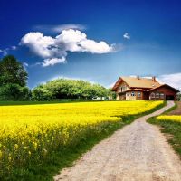 太阳金牛月亮水瓶行事作风性格特点