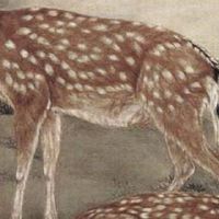 天医十延年手机号组合 最新旺财旺运的手机尾数