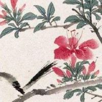 天医磁场手机号68与86 手机磁场吉祥旺运的数组