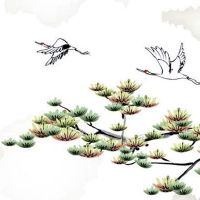 2023年2月27日出生女孩五行查询,宝宝先天命格好不好