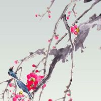 怎么分辨肝掌红和普通红 肝掌红需留意健康运势