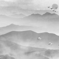 玄关图片进门效果大全 进门鞋柜选封闭式最佳