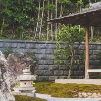 把茶花树放在家里不吉利吗?