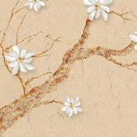 2023年3月1日出生男宝宝命好不好,五行是否有缺失