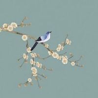 1987属兔十年大运时间 生肖兔2026年转大运