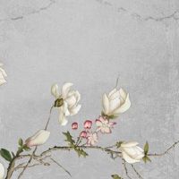 2022年8月9日适合提车吗 农历七月十二是不是买车日子