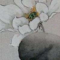 手机号里天医多好吗 天使助运旺财的手机号码