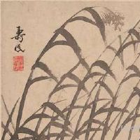 农历十一月二十是黄道吉日吗?搬新家搬家怎么样?