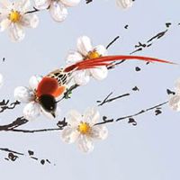 1968年属猴2023年财运好不好 总体运势平稳向上