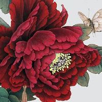 手相奇特手纹 事业小有成就财运上涨