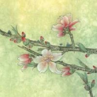 女人忌用延年数字号码磁场 吉祥转运的手机数组全书