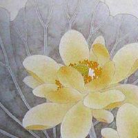 什么叫天医磁场手机号 数字磁场天医能量大全