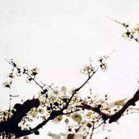 厨房门忌讳的颜色 厨房门破损需尽快更换