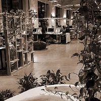 办公室布置留意什么风水学注重才可以催旺桃花