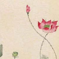 2023年3月14日出生的女孩是什么命,五行属什么