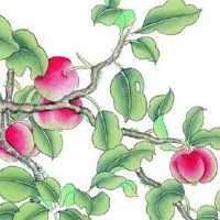 厨房门口挂什么招财 黄色门帘挂厨房有招财作用