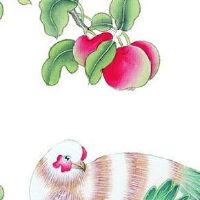 灶台为什么不能朝东 厨房朝东南可以带来好运