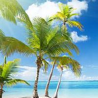 十二星座中白羊星座女生性格特点如何