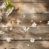 最单纯长得像乖乖女内心很柔软的三大星座