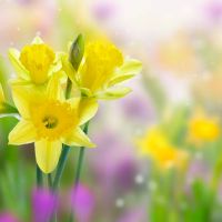 月亮星座水瓶座的特质 月亮落在水瓶座的人会有哪些表现