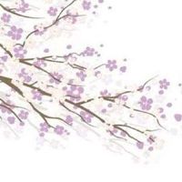 1992年生肖猴女2022年下半年运势大全 今年工作忙碌