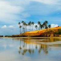 10月28日出生的人是什么星座 性格如何