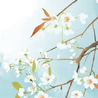 二手车行起名热门新颖的 旺店起名洋气吉利