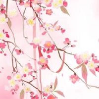 做二手车起什么名字好 寓意好大气汽车店字