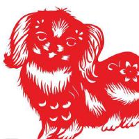 1994年12月出生的属狗人命运如何 事业财运解析