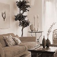 家居家具盆栽植物放置特别注意什么风水学,工作才可以取得成功?