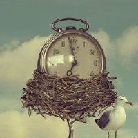 女人梦见包丢了四处找预示漏财吗