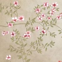 车牌号千万不能带4 车牌号码为什么不要带4