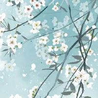 二手车店面名字最热款 吉利好听店铺名