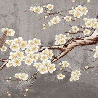 1992年生肖猴的财位在哪 正东方收获不菲财富