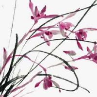 1992年属猴人最难熬年龄 生肖猴如何转运