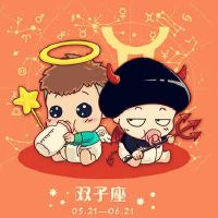 双子座在结婚的时候会考虑哪些方面的因素