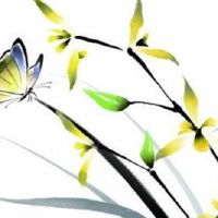 分居可以化解二婚命吗 八字日支被合的易二婚