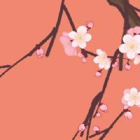 二手车行起名字大全免费 寓意吉利好听车店名