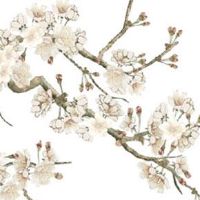 车牌号带F字母好吗 利于车主官运增长