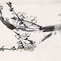 1992年属猴2023年生孩子怎么样 感情工作双丰收