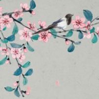 最可怕的悬针纹 行善积德扭转命运乾坤