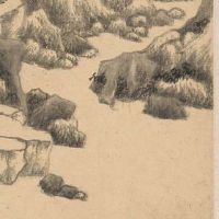 小暑肺炎疫情期内能够烧香拜拜吗,2020三伏天何时刚开始