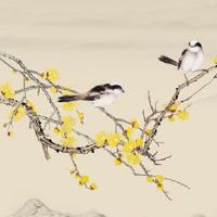 数字能量组合数字解析车牌 车牌号882和886哪个好